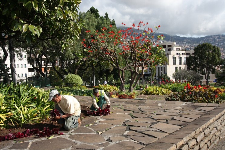 Funchal, Madera (Madeira), Portugalia