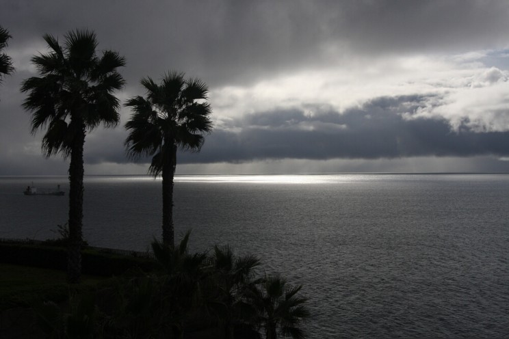 Funchal, Madera (Madeira), Portugalia