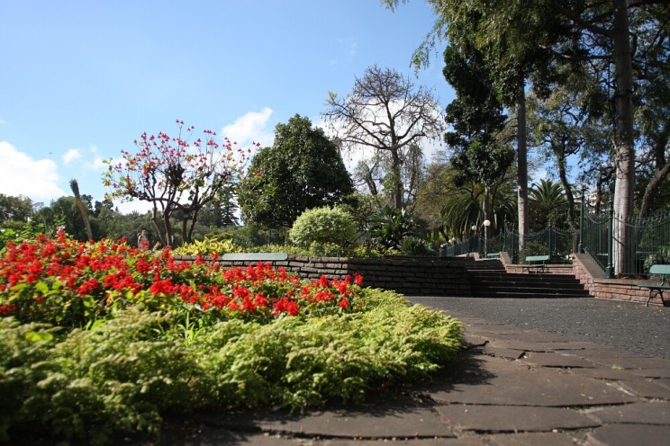 Funchal, Madera (Madeira), Portugalia