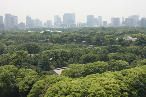 Tokyo Royal Gardens 01