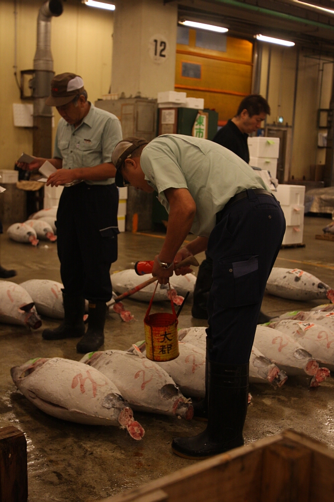 Targ rybny Tsukiji w Tokio (Tsukiji-shijō - 築地市場) Aukcja tuńczyków