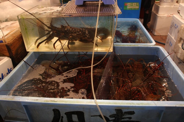 Targ rybny Tsukiji w Tokio (Tsukiji-shijō - 築地市場)