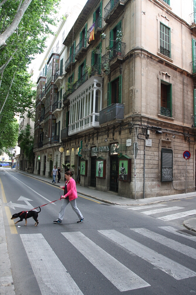 Palma de Mallorca, stolica Majorki