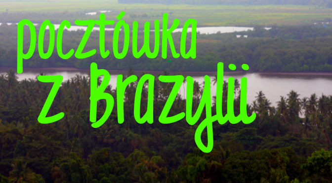 Pocztówka z Brazylii - pomóż polskim rysiom!