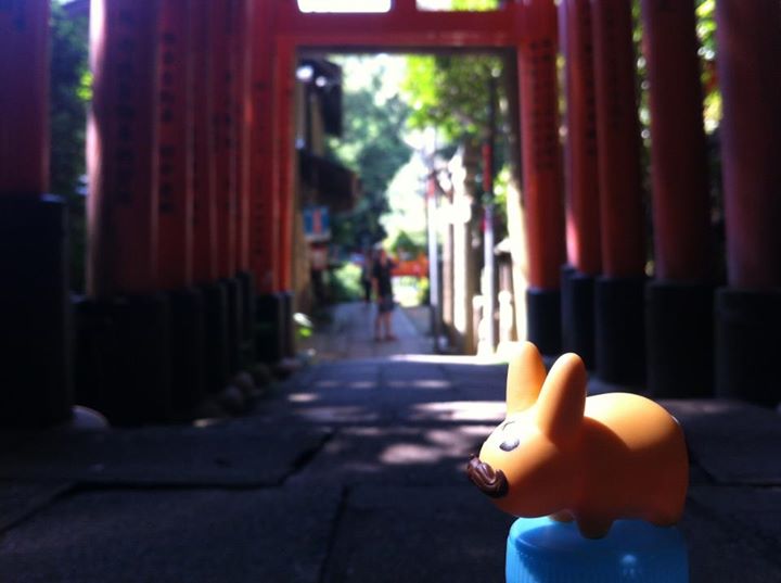 Labbit w podróży - Fushimi Inari Taisha
