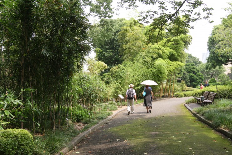  Ogrody Cesarskie w Tokio (Tokyo Imperial Gardens), prefektura stołeczna Tokio, Japonia