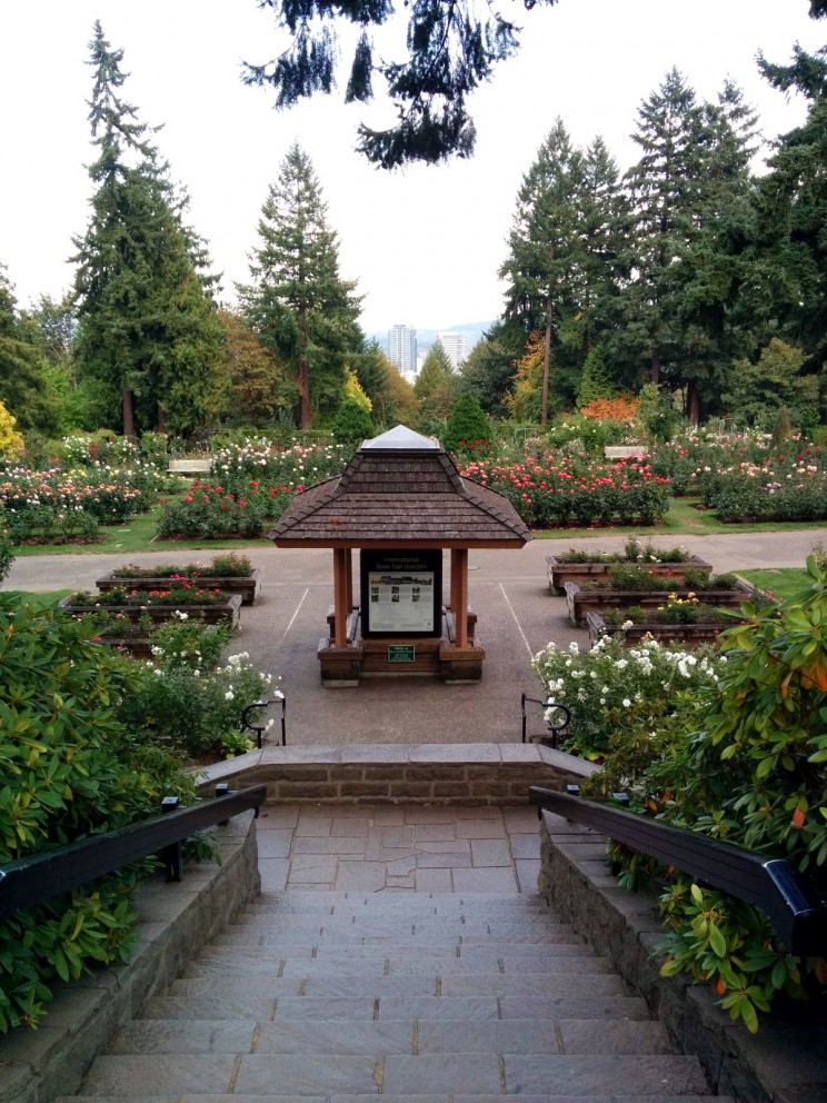 International Rose Test Garden Portland
