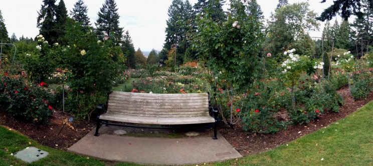 International Rose Test Garden Portland