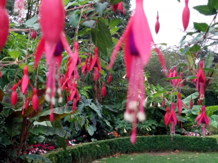 Portland: International Rose Test Garden
