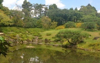 Park Nara Kōen (奈良公園), Japonia