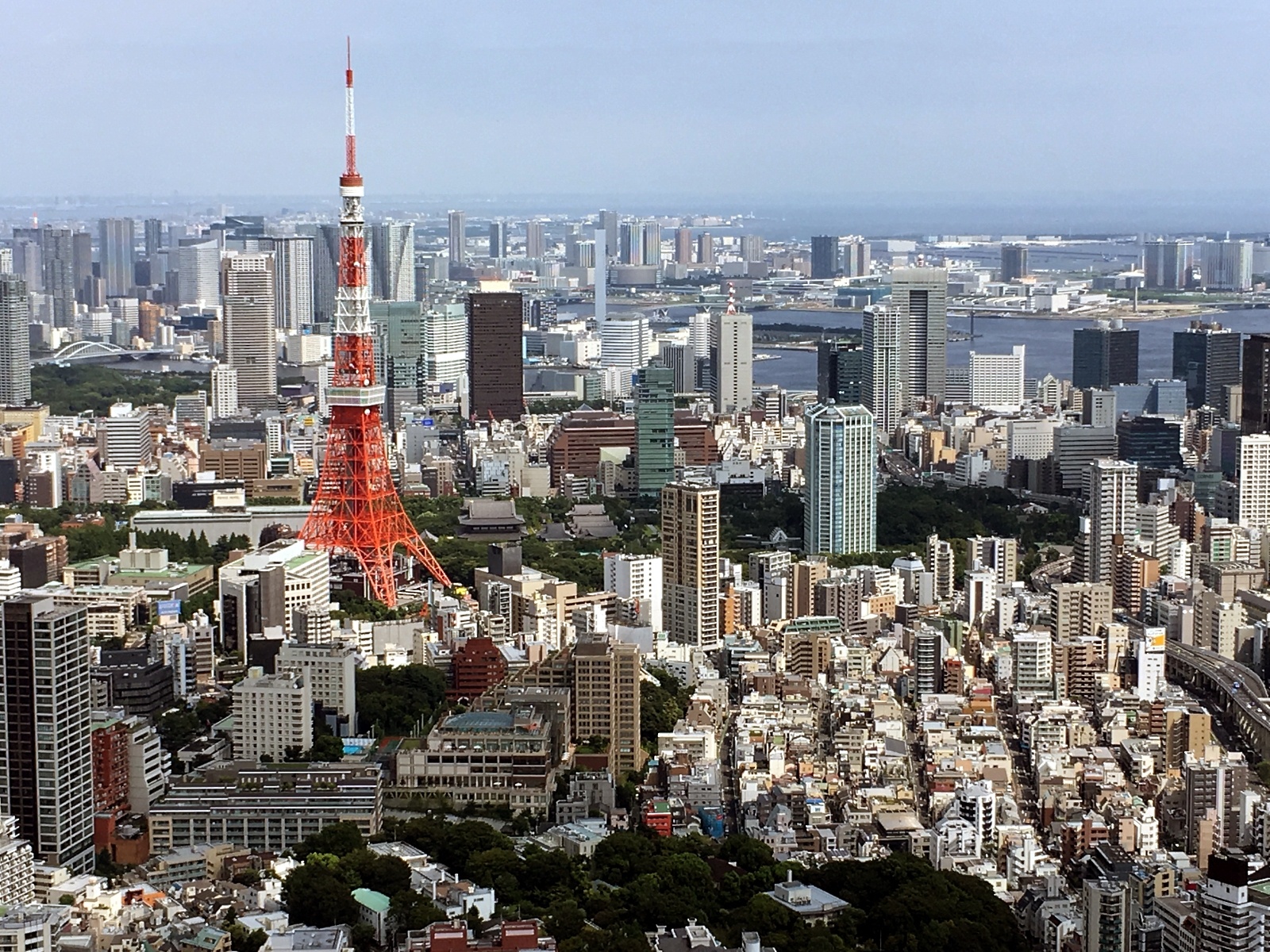 Widok na Roppongi i Tokyo Tower z tokijskiego rarusza