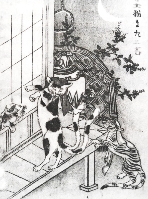 Nekomata przedstawiony w stylu Toriyamy Seikena, artysta nieznany