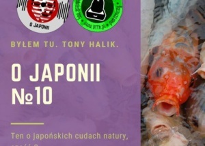 Podcast o Japonii №10 (ten o japońskich cudach natury, część 2)