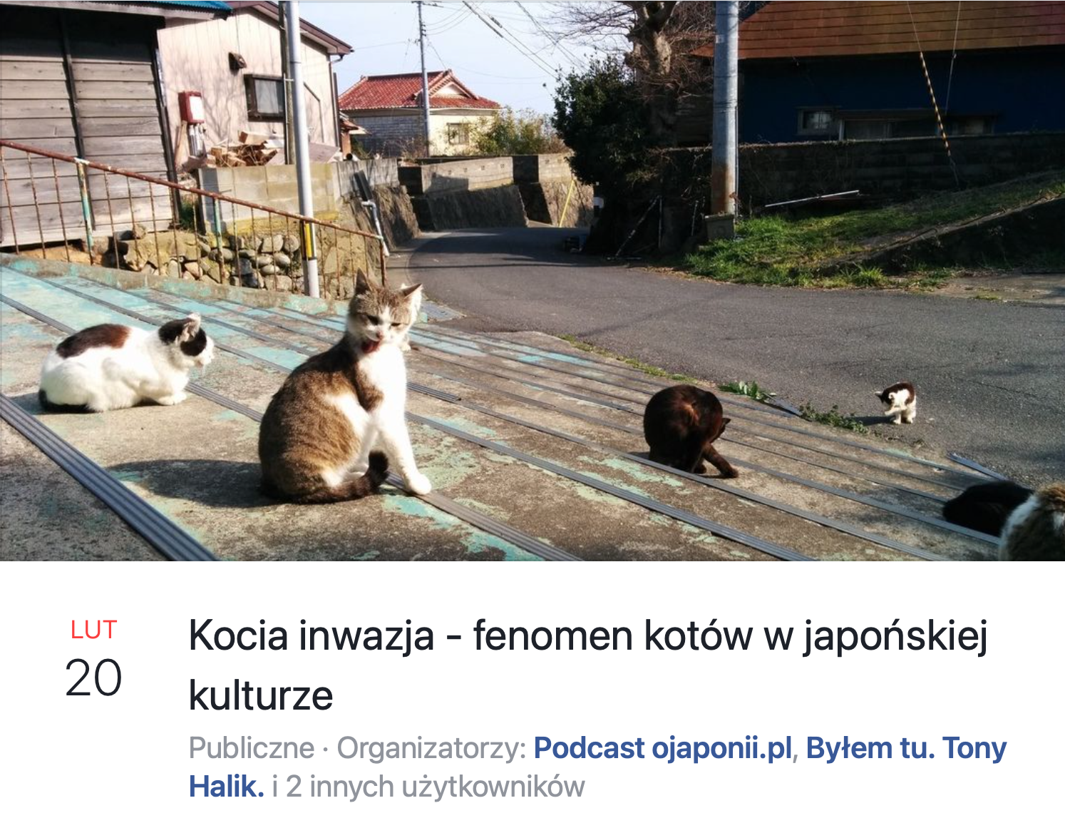 Koci finał - koty w japońskiej kulturze