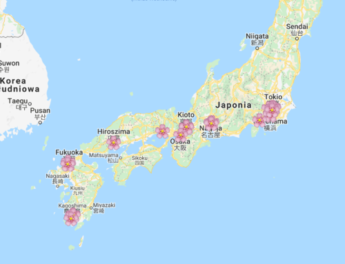 Najlepsze miejsca w Japonii do oglądania kwitnących wiśni (sakura) – lista i mapa