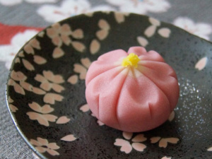 Sakurowe słodycze: sakura nerikiri (Wagashi PL)