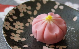 Sakurowe słodycze: sakura nerikiri (Wagashi PL)