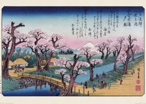 Sakura w ukiyo-e. Drzeworyty japońskie przedstawiające kwitnące wiśnie