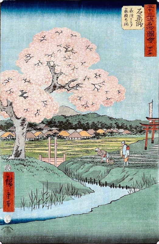 Hiroshige Utagawa: Ishiyakushi - Kwitnące wiśnie Yoshitsune i chram Noriyori