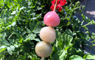 Trójkolorowe sakura dango (botchan dango)