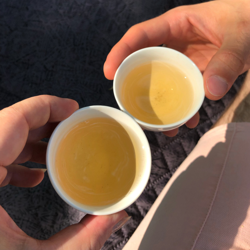chinska-herbata-degustacja-warszawa- temail-