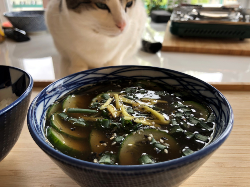 Przepis na zupę miso shiru na zimno (hiyajiru)